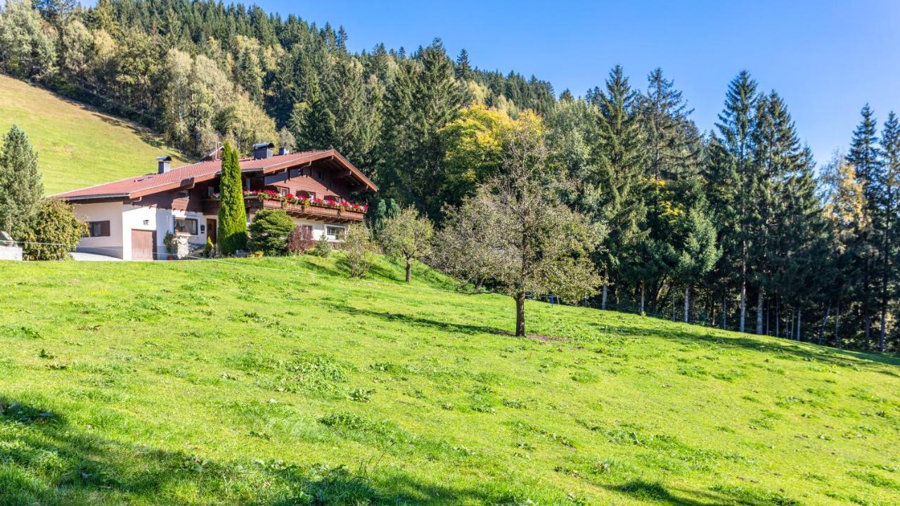 Ferienhaus Berger Mittersill Kültér fotó